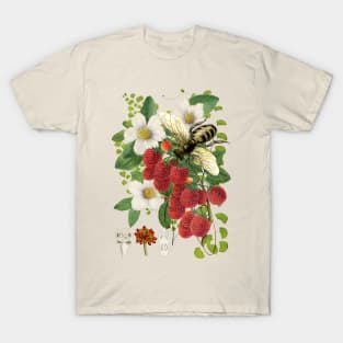 Botanical Bee II Beautiful Modern Nature Study T-Shirt